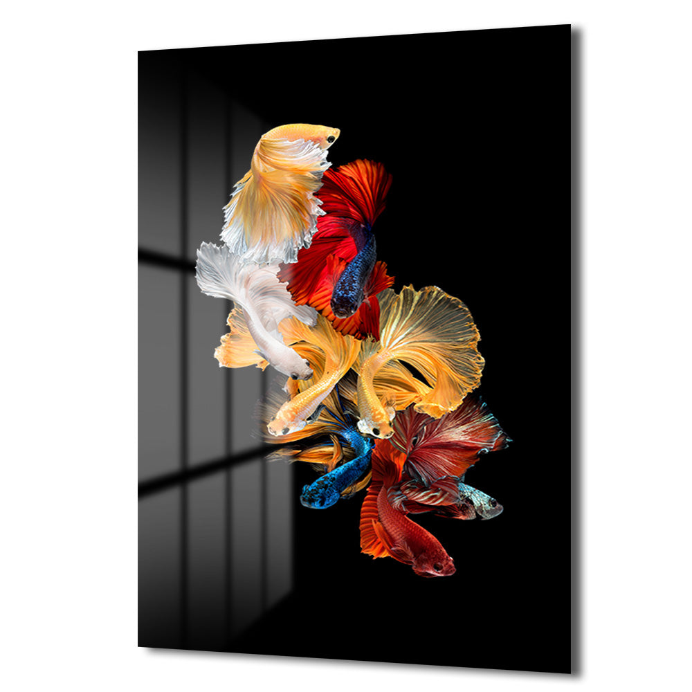 Betta Balıkları Sualtı Dansı Modern Cam Tablo