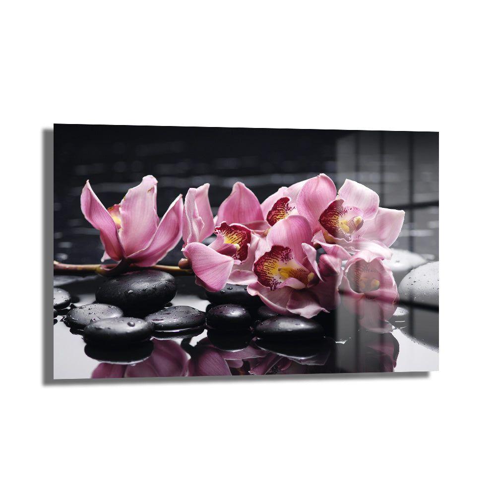 Zen Bahçesi: Pembe Orkide ve Spa Taşları Modern Cam Tablo, siyah arka plan üzerinde pembe orkideler, spa taşları ve su damlaları içeren, ev ve ofis için modern ve dingin bir dekoratif cam duvar sanatı.