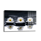 Zen Papatyalar ve Siyah Taşlar: Huzur Veren Modern Cam Tablo, siyah arka plan üzerinde beyaz papatyalar ve pürüzsüz siyah taşların minimalist ve sakin bir düzenlemesini gösteren dekoratif bir cam tablo.
