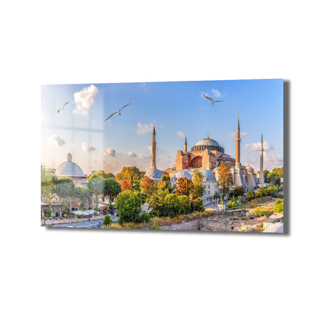 İstanbul'un Kalbi: Ayasofya ve Martılar Temalı Dekoratif Cam Tablo