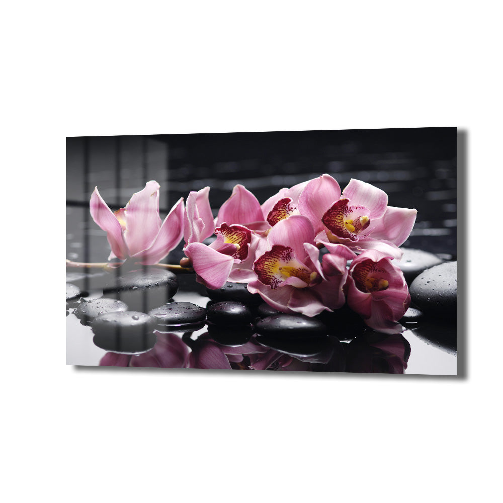 Zen Bahçesi: Pembe Orkide ve Spa Taşları Modern Cam Tablo