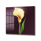 Işıltılı Sarı Calla Zambak Modern Cam Tablo
