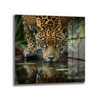 Su içen bir jaguarın yakın çekim görüntüsü, suya yansıyan yüzü ve yoğun yeşil gözleri. Vahşi doğa temalı cam tablo.