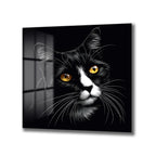 Gizemli Bakışlar: Siyah Kedi Cam Tablo