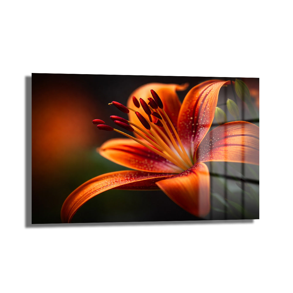 Canlı turuncu ve kırmızı tonlarında, detaylı stamenleri olan bir lilyum çiçeği makro fotoğrafı, modern salonlar için temperli cam tablo.