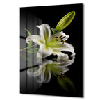 Zarif Beyaz Zambak: Modern Floral Temperli Cam Tablo