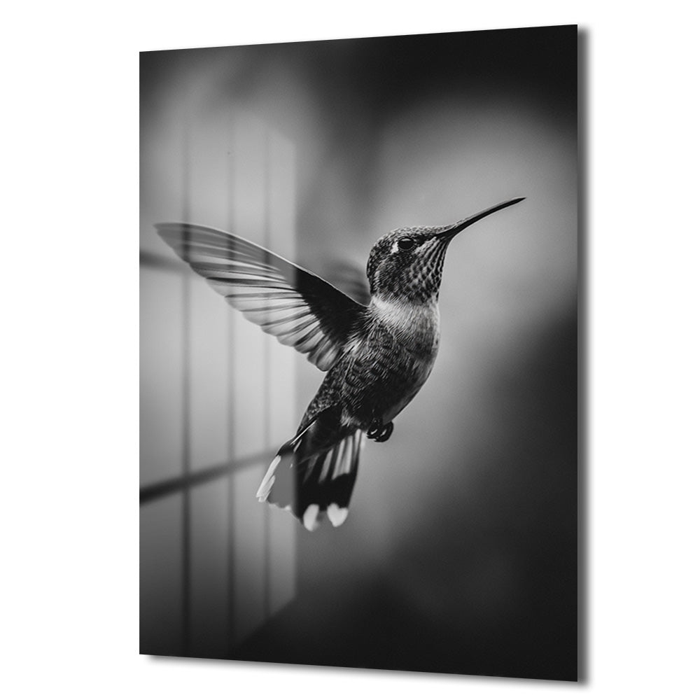 Zarafetin Dansı: Siyah Beyaz Kolibri Uçuşu Cam Tablo