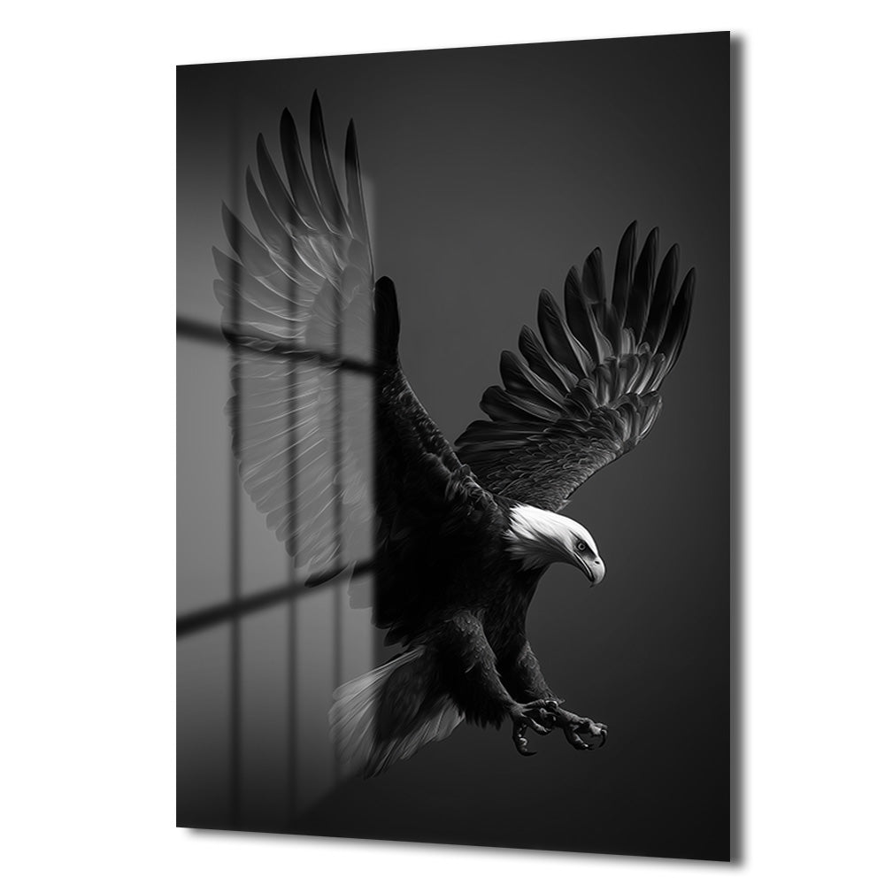 Kanatlı Özgürlük: Kartal Uçuşu Monokrom Cam Tablo