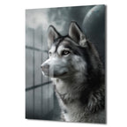Gizemli Husky Bakışı Cam Tablo - Kurt Sanatı
