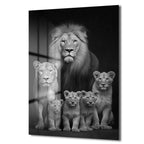 Aslan Ailesi Siyah Beyaz Sanat Cam Tablo