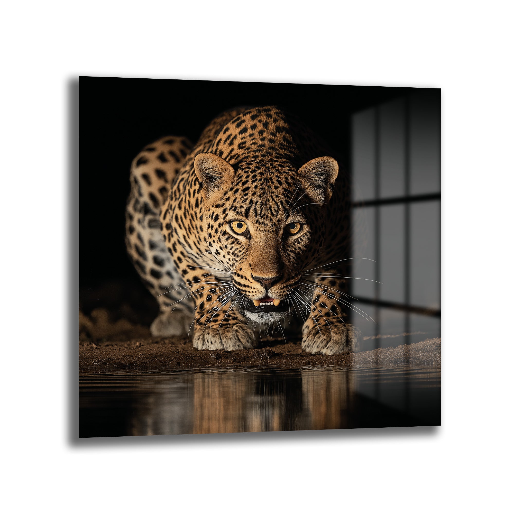 Vahşi Zarafet: Leopar Bakışı Modern Cam Tablo