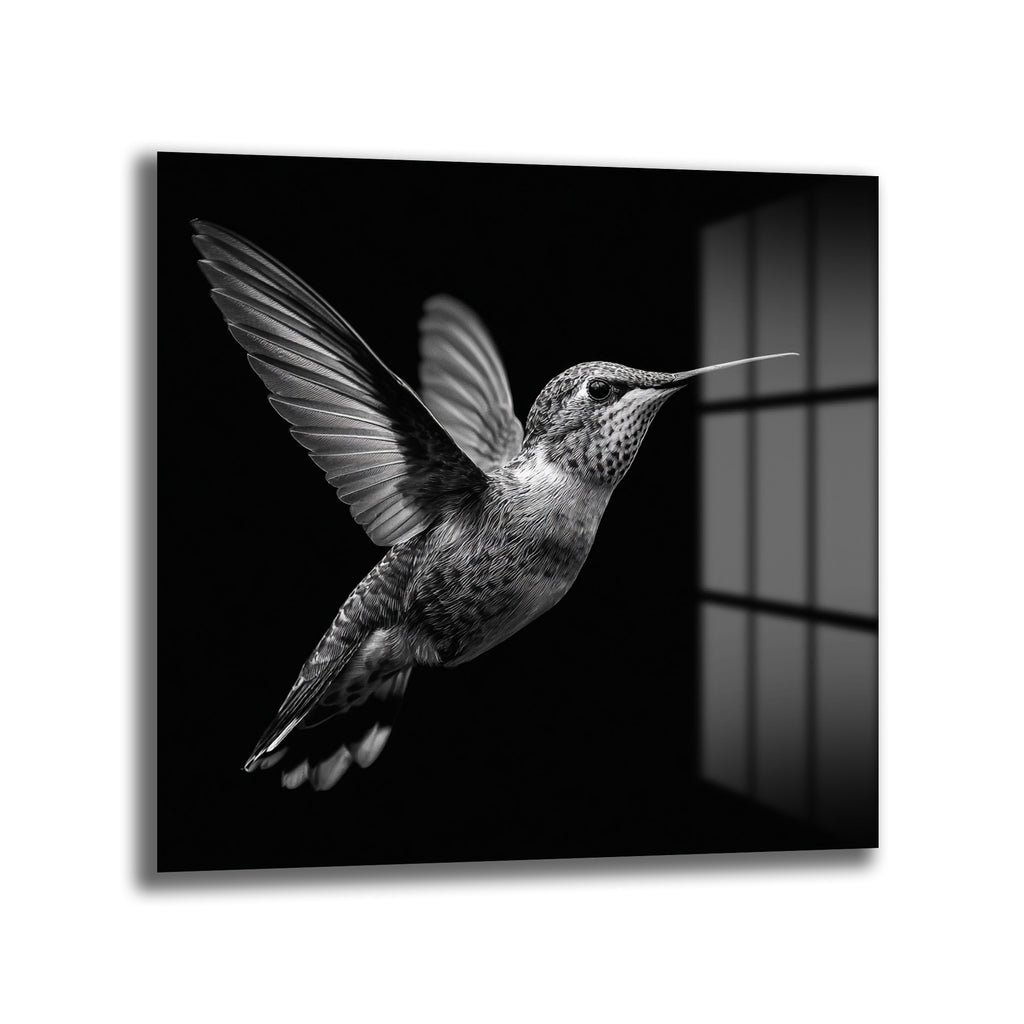 Siyah Beyaz Kolibri Uçuşu Cam Tablo