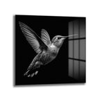 Siyah Beyaz Kolibri Uçuşu Cam Tablo