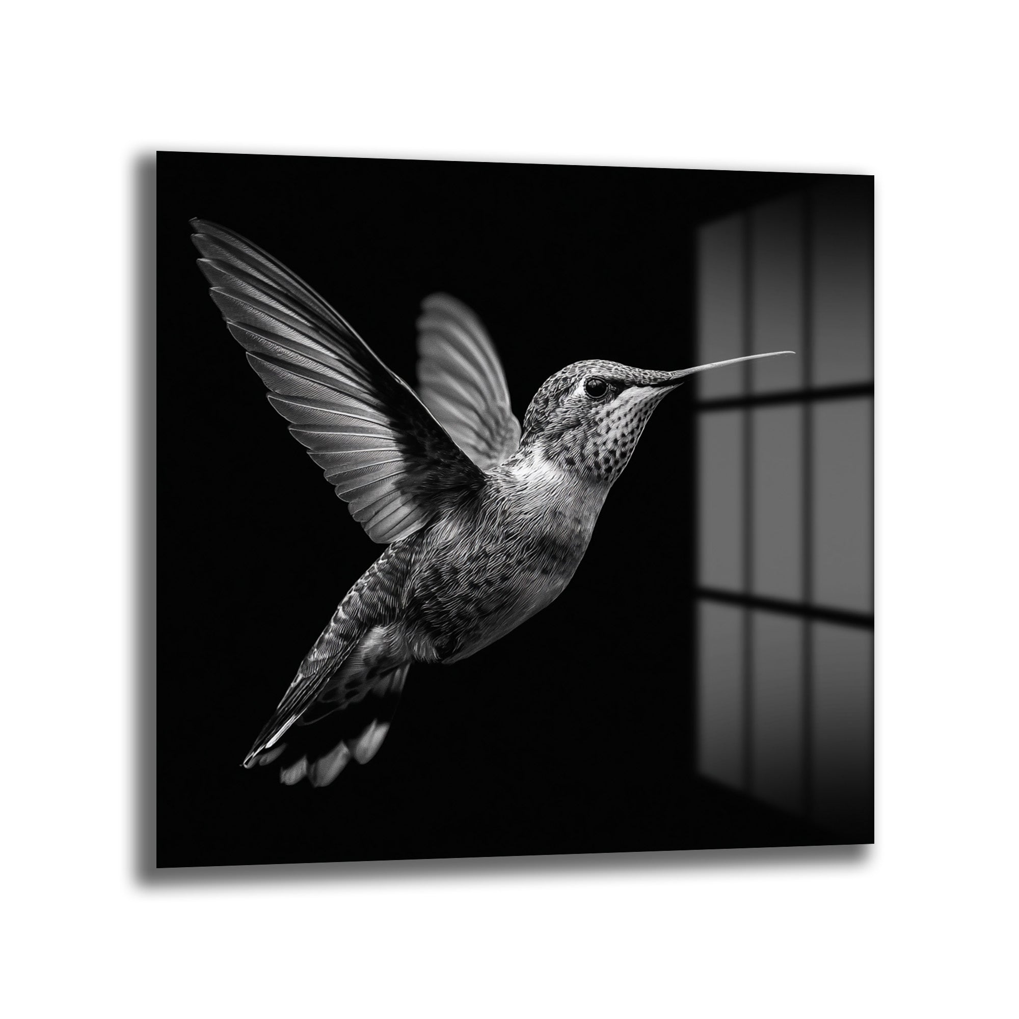 Siyah Beyaz Kolibri Uçuşu Cam Tablo