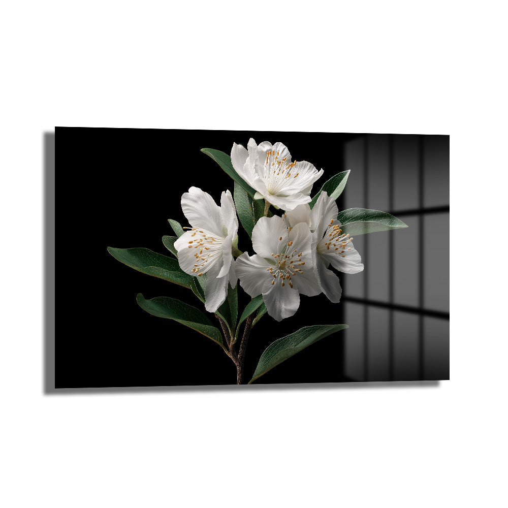 Siyah Fonda Beyaz Çiçekler Cam Tablo | Zarafetin Dokunuşu