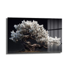Beyaz Çiçekli Bonsai Ağacı Cam Tablo - Zen Bahçesi Estetiği