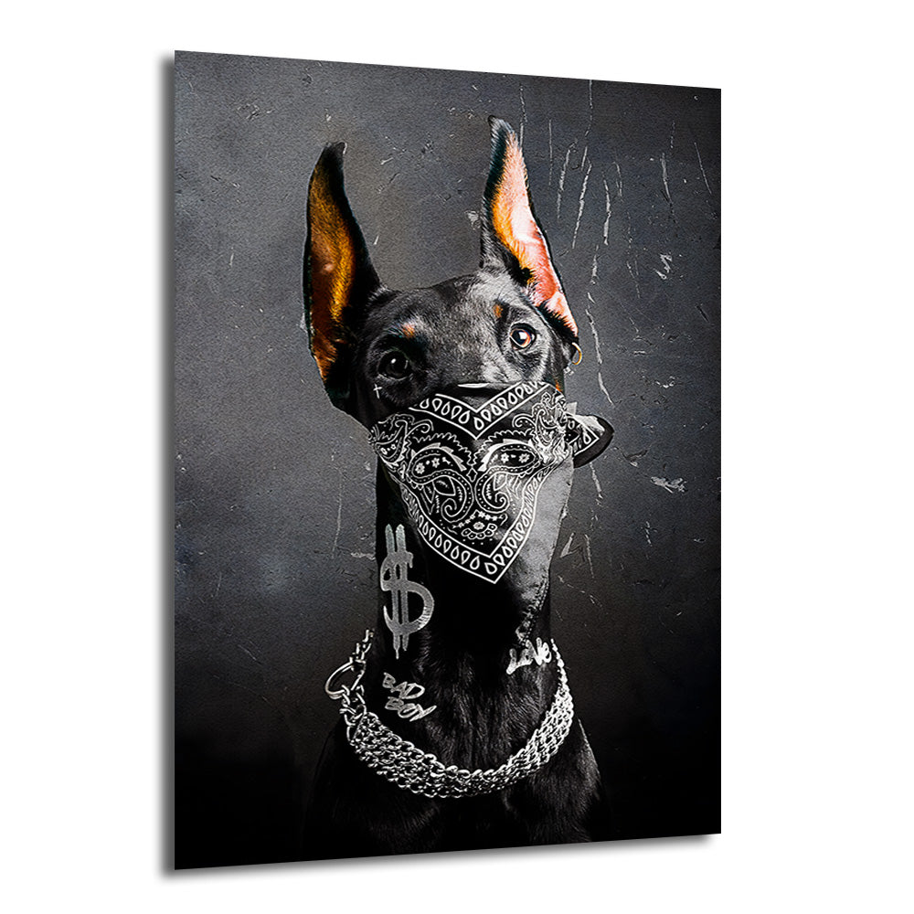 Ağzında siyah beyaz bandana, boynunda gümüş zincir ve dolar işareti kolye olan, sert bakışlı siyah bir Doberman köpeğin koyu gri arka plan önünde durduğu modern cam tablo.