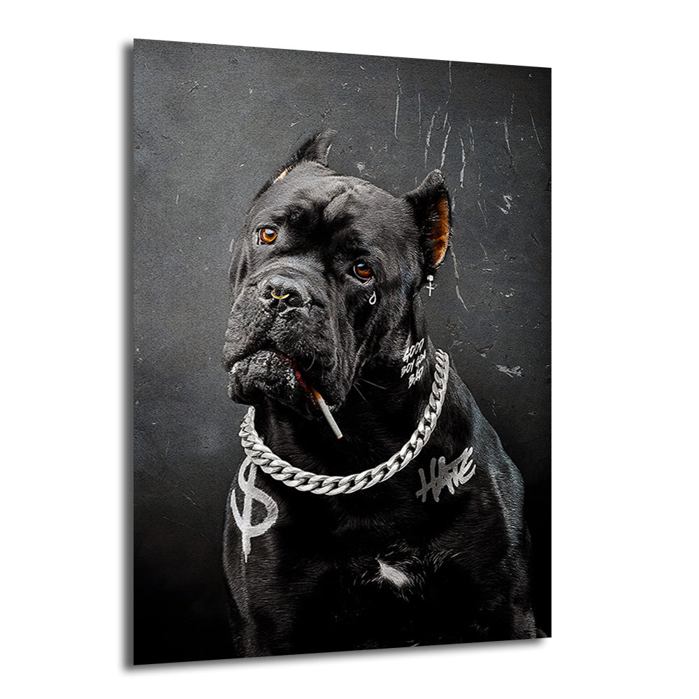 Koyu gri arka planda, üzerinde gümüş zincir kolye, sigara ve dövme detayları olan asi görünümlü siyah Cane Corso köpeğin sanatsal portresi.