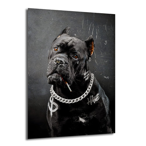 Koyu gri arka planda, üzerinde gümüş zincir kolye, sigara ve dövme detayları olan asi görünümlü siyah Cane Corso köpeğin sanatsal portresi.