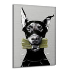 Gri arka planda, sivri tasmalı siyah bir Doberman köpeği ağzında deste deste yeşil banknot tutarken resmedilmiş modern cam tablo.