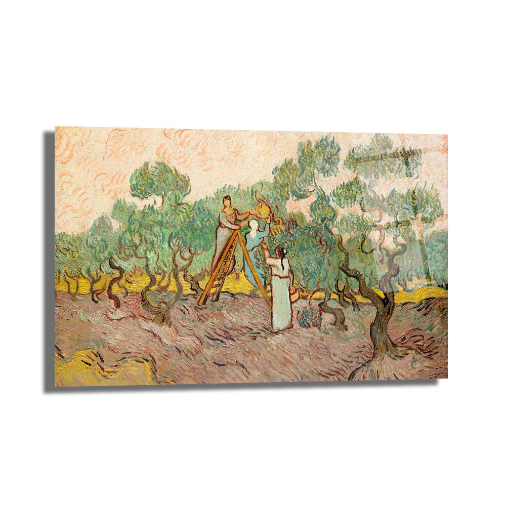 Van Gogh Zeytin Ağaçları Cam Tablo - Sanatsal Hasat
