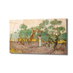 Van Gogh'un zeytin ağaçları ve zeytin toplayan iki figürü betimleyen, post-empresyonist tarzda yapılmış, yoğun fırça darbelerine sahip bir yağlıboya tablonun cam üzerine baskısı. Yeşil zeytin ağaçları, kahverengi toprak ve açık renkli bir gökyüzü hakimdir.