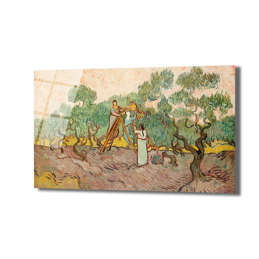 Van Gogh'un zeytin ağaçları ve zeytin toplayan iki figürü betimleyen, post-empresyonist tarzda yapılmış, yoğun fırça darbelerine sahip bir yağlıboya tablonun cam üzerine baskısı. Yeşil zeytin ağaçları, kahverengi toprak ve açık renkli bir gökyüzü hakimdir.