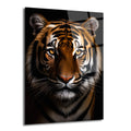 Koyu siyah arka plan önünde, gözleri parlayan, kahverengi ve siyah çizgili tüyleriyle dikkat çeken bir kaplanın yakından çekilmiş, görkemli portresi.