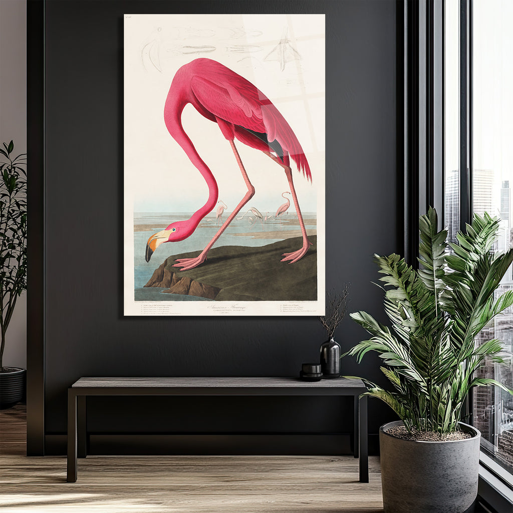 Amerikan Flamingosu Cam Tablo - Pembe Zarafet