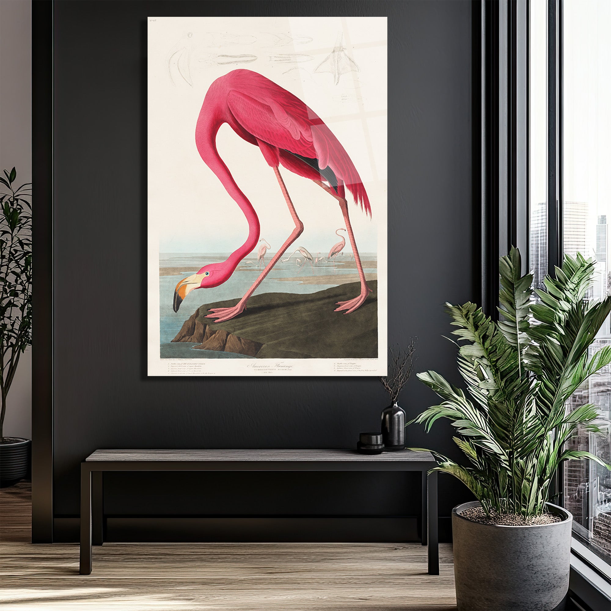 Amerikan Flamingosu Cam Tablo - Pembe Zarafet