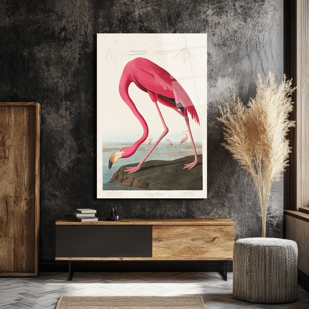 Amerikan Flamingosu Cam Tablo - Pembe Zarafet
