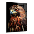 Koyu siyah arka plan üzerinde, kahverengi ve turuncu tüylere sahip, keskin kırmızı gözlü, yana doğru bakan bir kartalın yakın çekim portresi. Cam tablonun üzerinde yansımalar görülüyor.