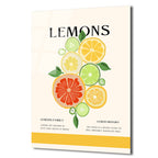 Canlandırıcı Limon Dilimleri Modern Sanat Cam Tablo