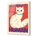 İmza Atan Kedi: 'Impress Me Human' Mizahi Cam Tablo