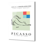 Picasso El Gato de Pablo Minimalist Kedi Tasarımı Cam Tablo