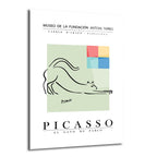 Beyaz zeminde, açık yeşil bir dikdörtgen içinde Picasso'nun uzanan minimalist siyah kedi çizimi ve üst sağda renkli kareler içeren modern cam tablo.