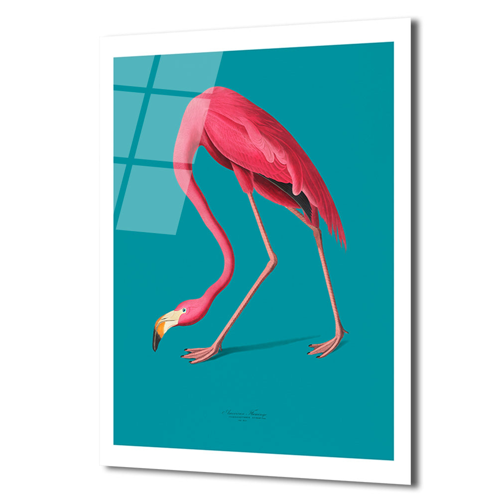Zarif Pembe Flamingo Cam Tablo: Modern Evlere Tropikal Dokunuş