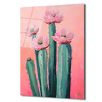 Çiçek Açan Kaktüsler Cam Tablo - Pembe Enerjiyle Modern Sanat