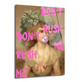 Pembe "DON'T RUSH ME" yazısı ve pembe sakız balonuyla modernleştirilmiş, klasik giysili genç bir kadının portresi olan cam tablo.