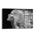 Zihin Akışı: Modern Beyin ve İnsan Anatomisi Cam Tablo, siyah fon üzerinde beynin ve omuriliğin estetik X-ray yorumunu sunan, dayanıklı temperli camdan yapılmış modern dekoratif bir duvar sanatıdır.